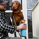 Dexas MudBuster Portable Dog Paw Cleaner | $15 | Amazon
